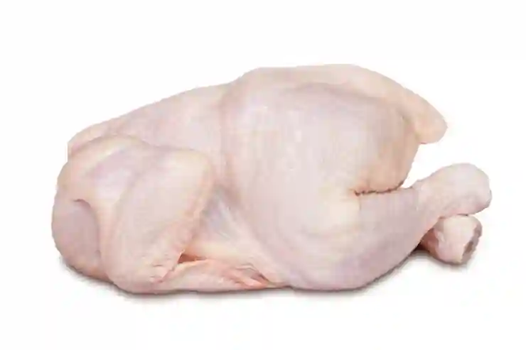Poulet de Chair - Vue 1