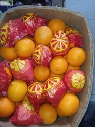 Oranges EN Vente – AU Kilo OU EN Carton