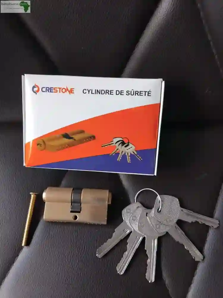 Vente DES Serrures ET Canons Pour Portes A BO