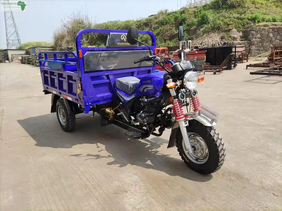DES Moto Tricycles DE Marque Hasilaza Agana - Vue 1