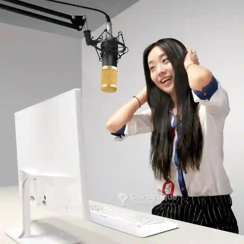 Microphone à Condensateur