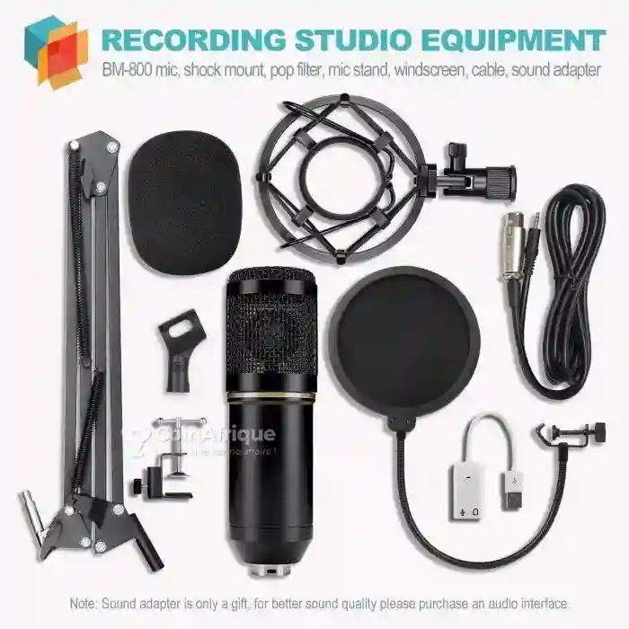 Microphone à Condensateur - Vue 1