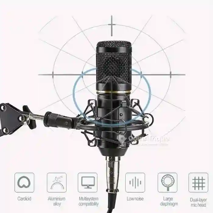 Microphone à Condensateur - Vue 4