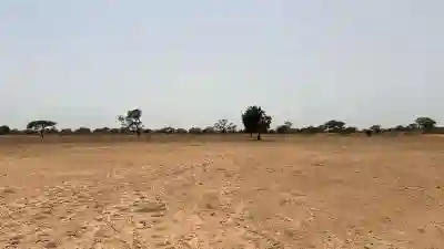 Terrain Agricole de 10 Hectares à Vendre à Tasse à Thies - Vue 1