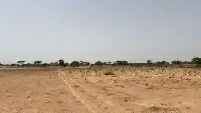 Terrain Agricole de 10 Hectares à Vendre à Tasse à Thies - Vue 2