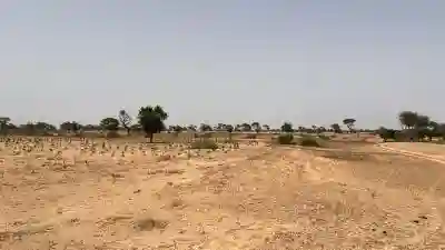 Terrain Agricole de 10 Hectares à Vendre à Tasse à Thies - Vue 3
