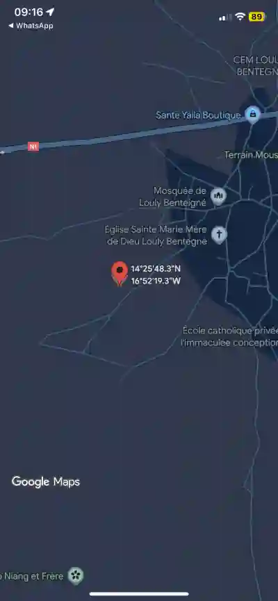 Terrain 300 Mètres Carrés à Vendre à Louly Sé à Mbour