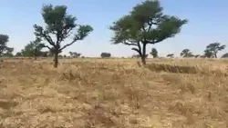 Lotissement Terrain Malicounda Takhoum Extension à Mbour