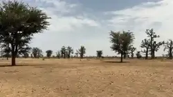 Terrain Agricole de 8 Hectares à Vendre à Louly à Mbour