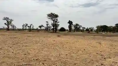 Terrain Agricole de 8 Hectares à Vendre à Louly à Mbour - Vue 3
