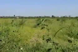 Terrain Agricole de 18 Hectare Vers Fissel à Mbour