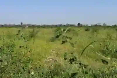 Terrain Agricole de 18 Hectare Vers Fissel à Mbour