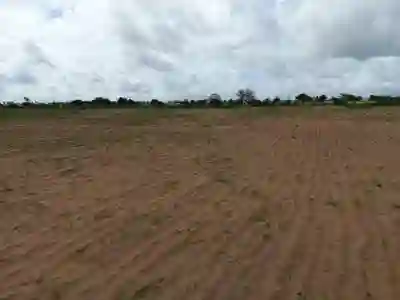 Terrain de 1 Hectare Vers Tassette à Thies