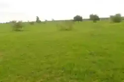 Location dun Terrain Agricole de 3 Hectares ver à Koungheul