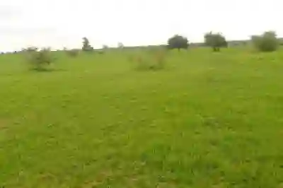 Location dun Terrain Agricole de 3 Hectares ver à Koungheul