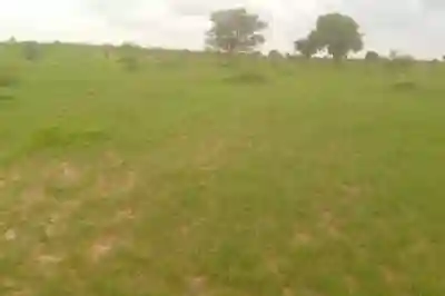 Location dun Terrain Agricole de 3 Hectares ver à Koungheul - Vue 1