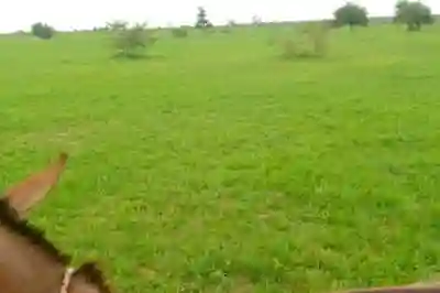 Location dun Terrain Agricole de 3 Hectares ver à Koungheul - Vue 2