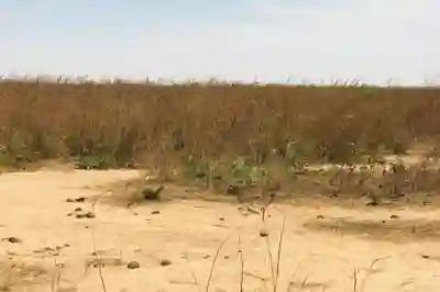 Terrain Agricole de 199 Hectare Vers Notto Diobas à Thies - Vue 1