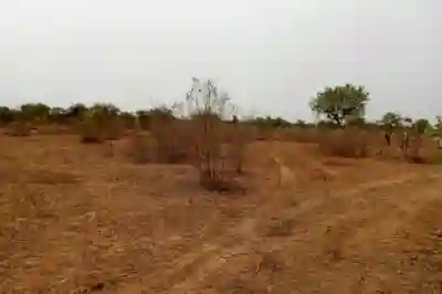 Terrain de 101 Hectare Vers Thiénaba à Thies - Vue 2