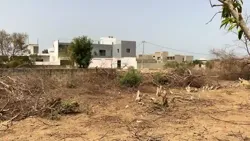 Terrain de 323 Mètres Carrés à Vendre à Saly Sénégal