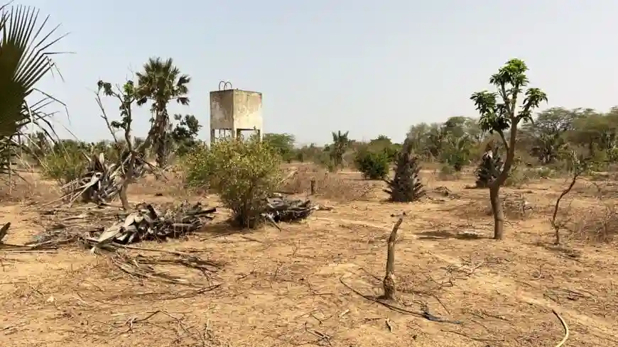 Terrain de 323 Mètres Carrés à Vendre à Saly Sénégal - Vue 3