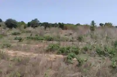Terrain de 102 Hectare Vers Diembéring à Ziguinchor - Vue 1