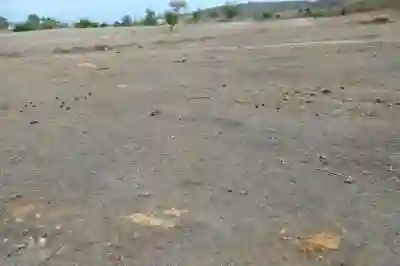 Terrain de 104 Hectare Vers Notto Diobass à Thies