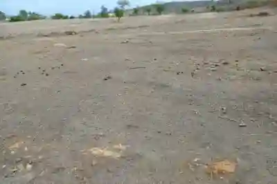 Terrain de 104 Hectare Vers Notto Diobass à Thies - Vue 3