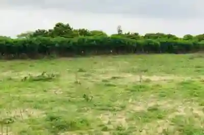 Terrain de 102 Hectare Vers Notto Gouye Diama à Thies