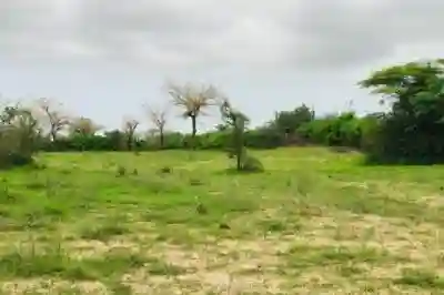 Terrain de 102 Hectare Vers Notto Gouye Diama à Thies - Vue 1