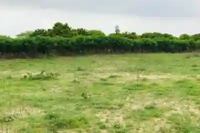 Terrain de 102 Hectare Vers Notto Gouye Diama à Thies - Vue 3