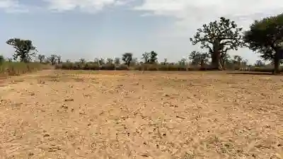 Terrain de 15 Hectare à Vendre à Louly Sénéga à Thies - Vue 1