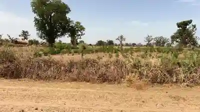 Terrain de 15 Hectare à Vendre à Louly Sénéga à Thies - Vue 3