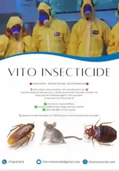Desinsectisation à Dakar