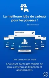 Carte Playstation psn