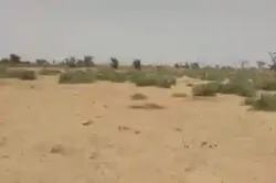 Terrain de 109 Hectare Vers Sindia à Mbour