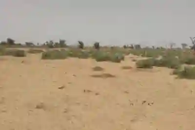 Terrain de 109 Hectare Vers Sindia à Mbour