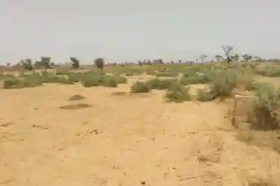 Terrain de 109 Hectare Vers Sindia à Mbour - Vue 1