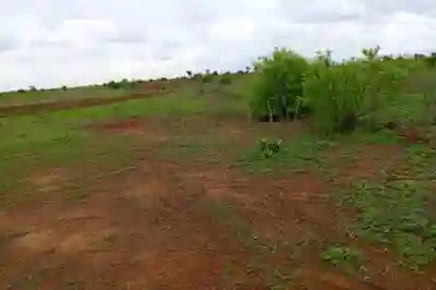 Terrain de 116 Hectare Vers Notto Diobass à Thies - Vue 2