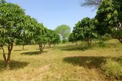 Terrain de 123 Hectare Vers Keur Madaro à Thies - Vue 3