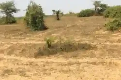 Terrain de 127 Hectare Vers Mont Rolland à Thies