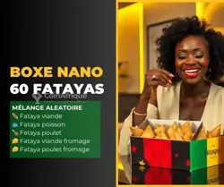 Boxes Nano de 60 Fatayas (samoussa)