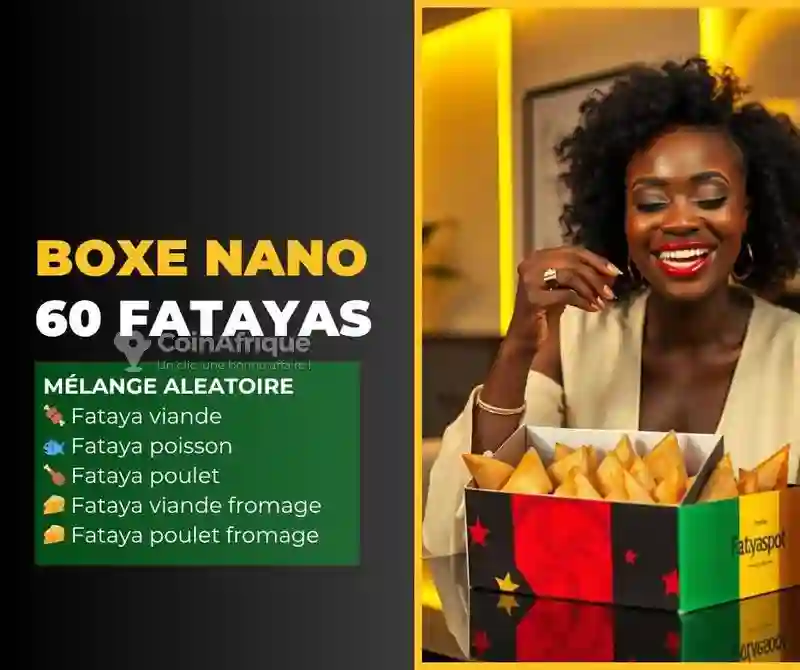 Boxes Nano de 60 Fatayas (samoussa)