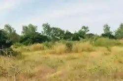 Terrain de 158 Hectare Vers Bambilor à Dakar