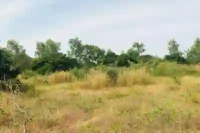 Terrain de 158 Hectare Vers Bambilor à Dakar