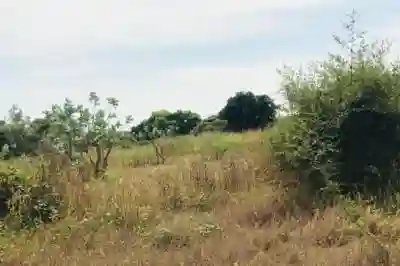 Terrain de 158 Hectare Vers Bambilor à Dakar - Vue 3