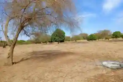 Terrain de 111 Hectare Vers Tassette à Thies