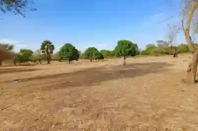Terrain de 111 Hectare Vers Tassette à Thies - Vue 1