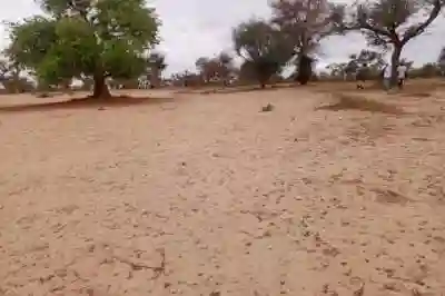 Terrain de 115 Hectare Vers Touba Toul à Thies - Vue 1