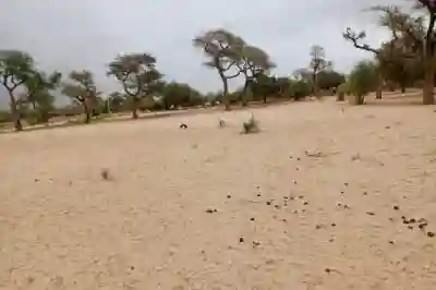 Terrain de 115 Hectare Vers Touba Toul à Thies - Vue 2